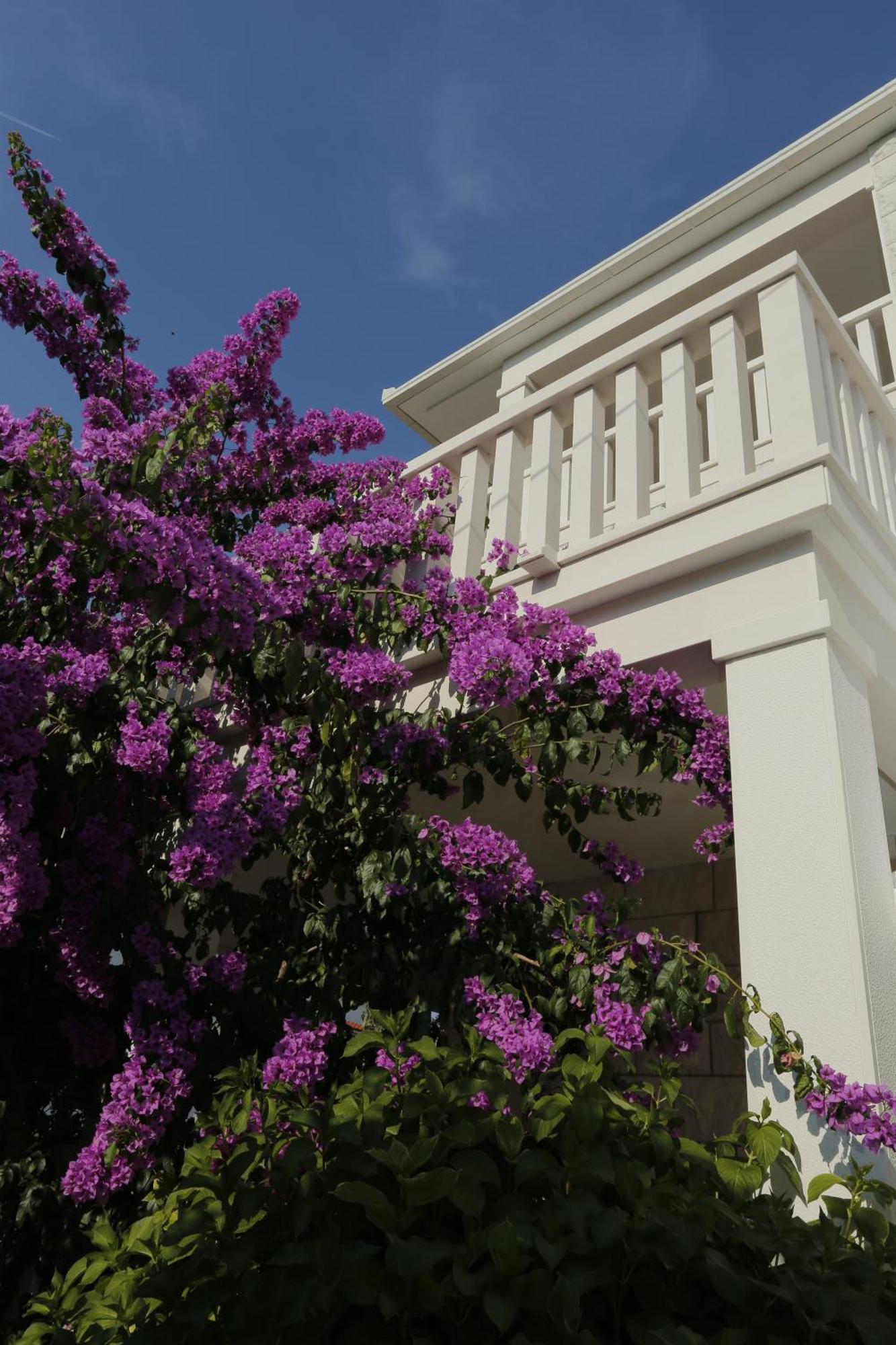 Apartments Marino ซูเปตาร์ ภายนอก รูปภาพ